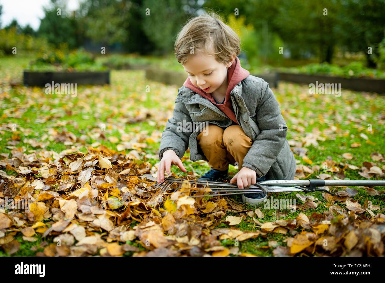 Cute little boy playing with a garden rake on late autumn day. Three ...