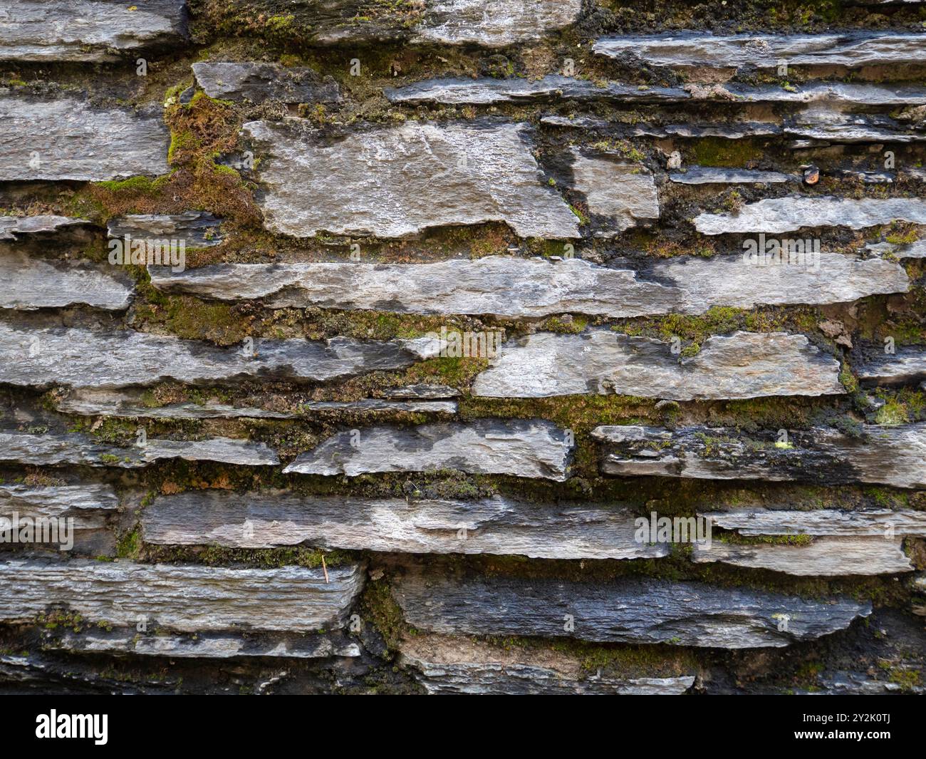Rustic stone wall with lichen background. Stock Photo