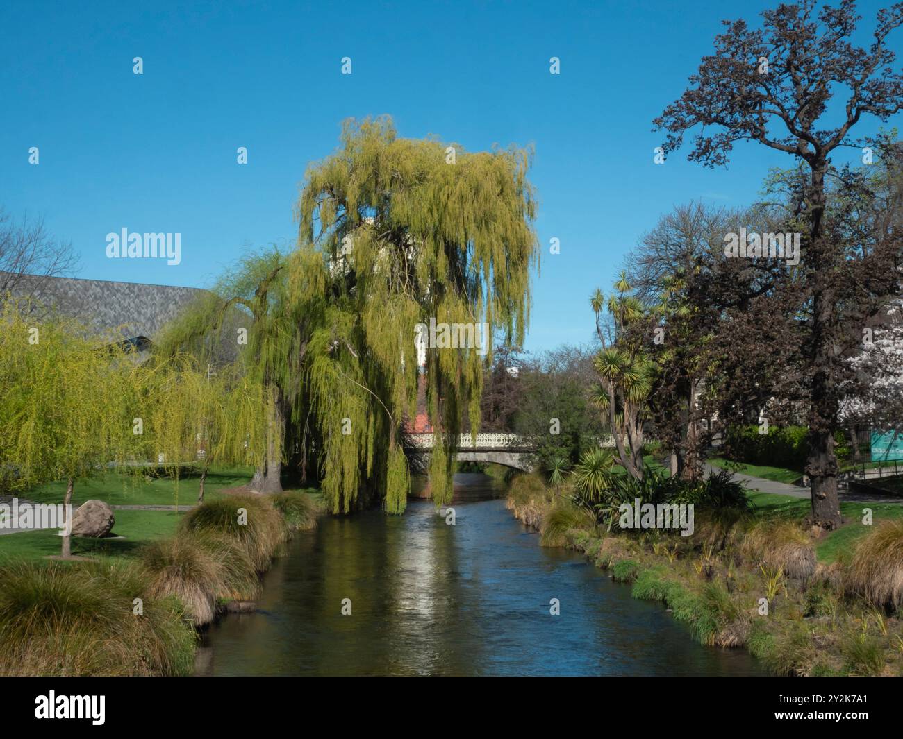 The Avon River in Victoria Square, Christchurch, New Zealand, Aotearoa with weeping willow tree. Stock Photo