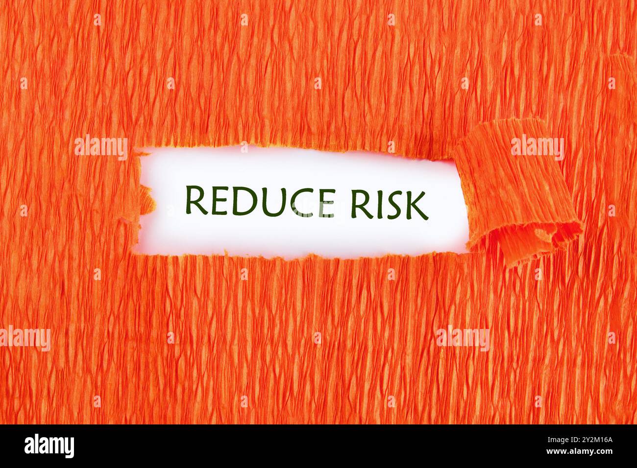Conceptual reduce risk symbol. Copy space. Words REDUCE RISK conceptual ...