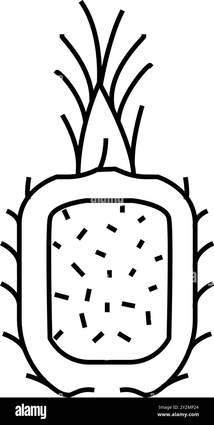 pineapple fried rice thai cuisine line icon vector illustration Stock ...