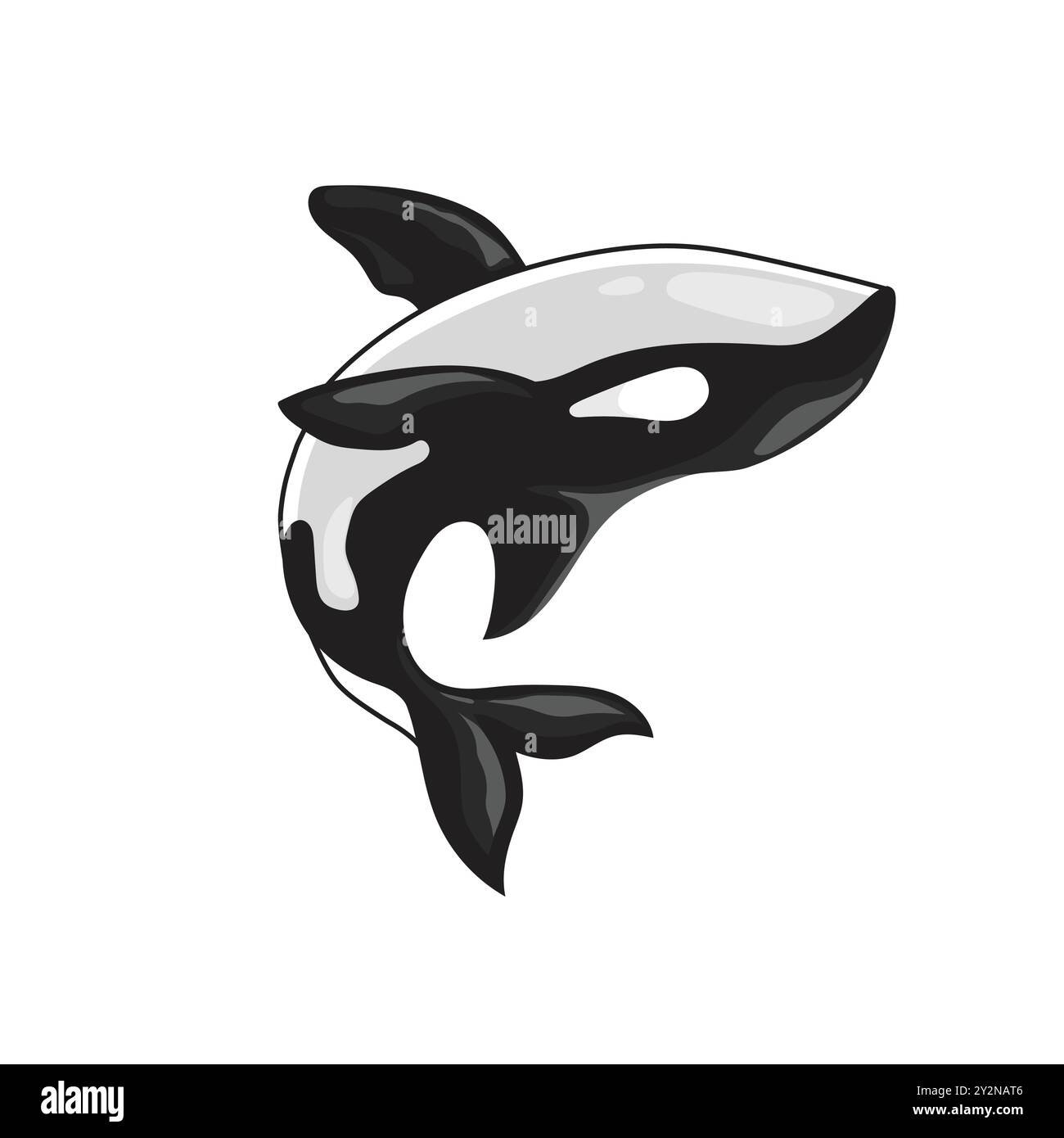 Vector illustration of an orca killer whale Stock Vector Image & Art ...