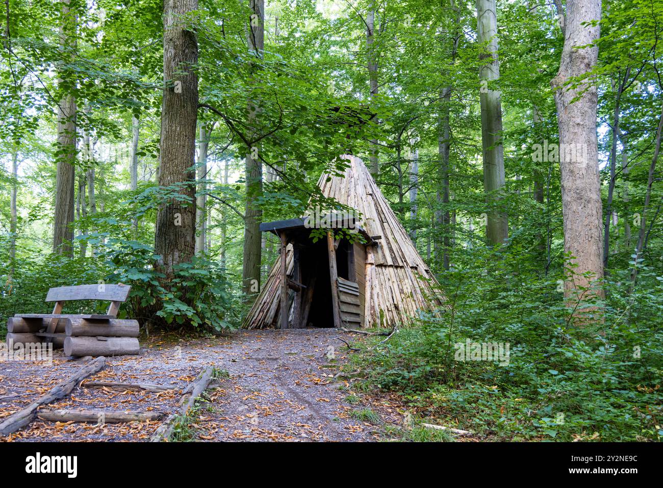 Schutzhutte im wald hi-res stock photography and images - Alamy