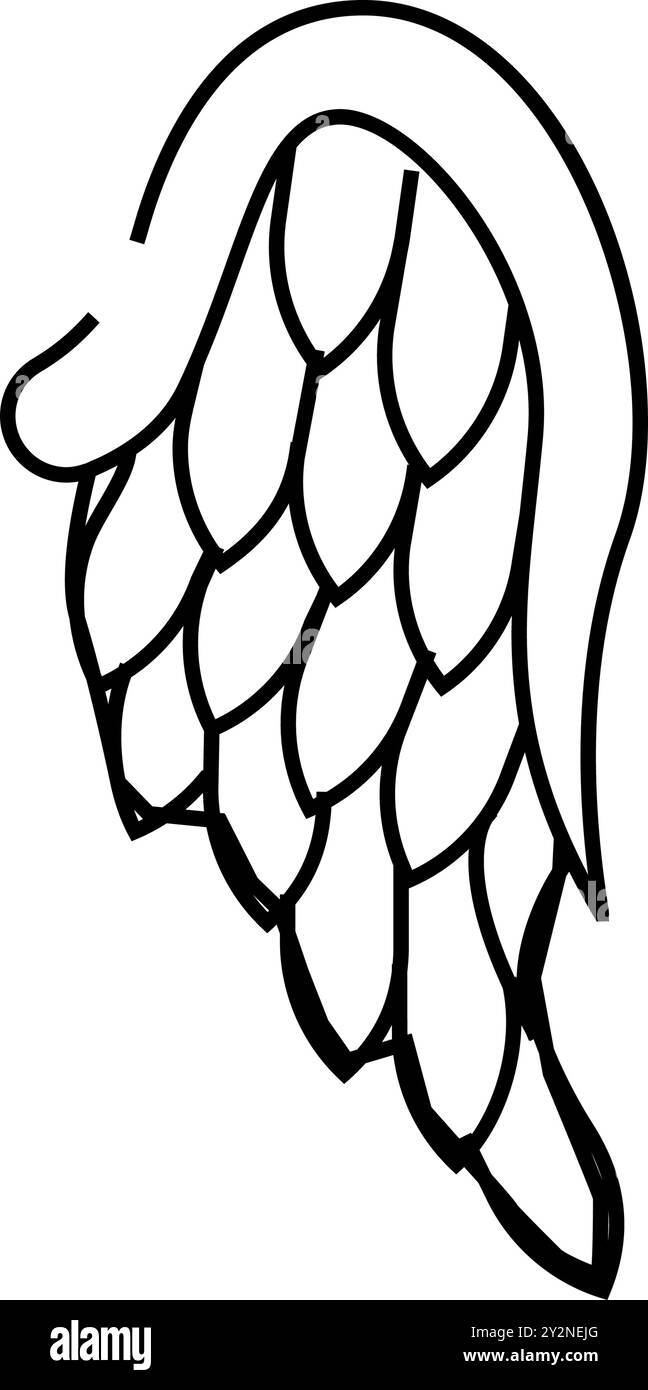 angel-wing-butterfly-black-and-white-stock-photos-images-alamy