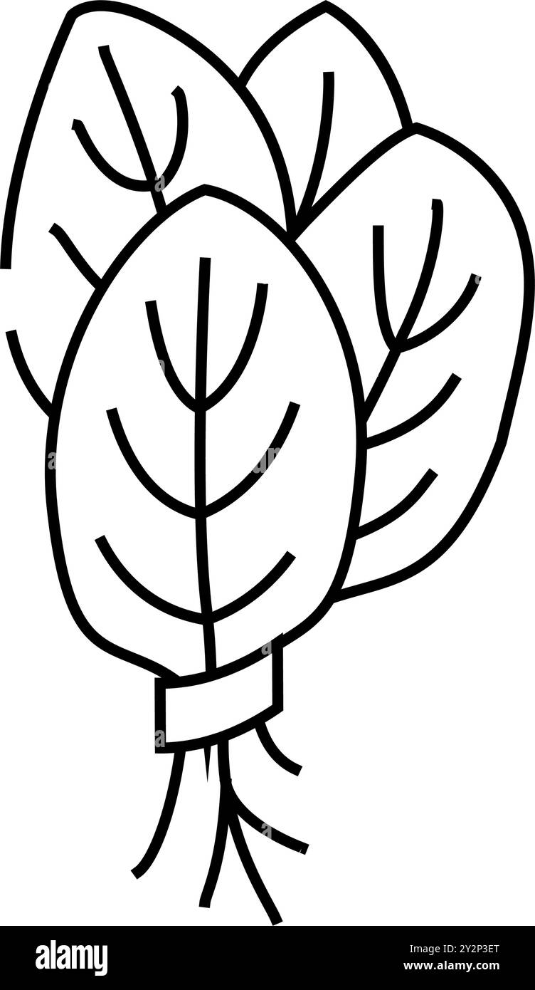 bunches spinach line icon vector illustration Stock Vector Image & Art ...