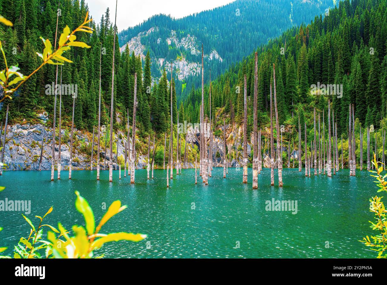 Lake Kaindy, the Kungey Alatau mountain range, northern Tien Shan. Lake Kaindy is located in the south of Kazakhstan in Kolsay Lakes National Park Stock Photo