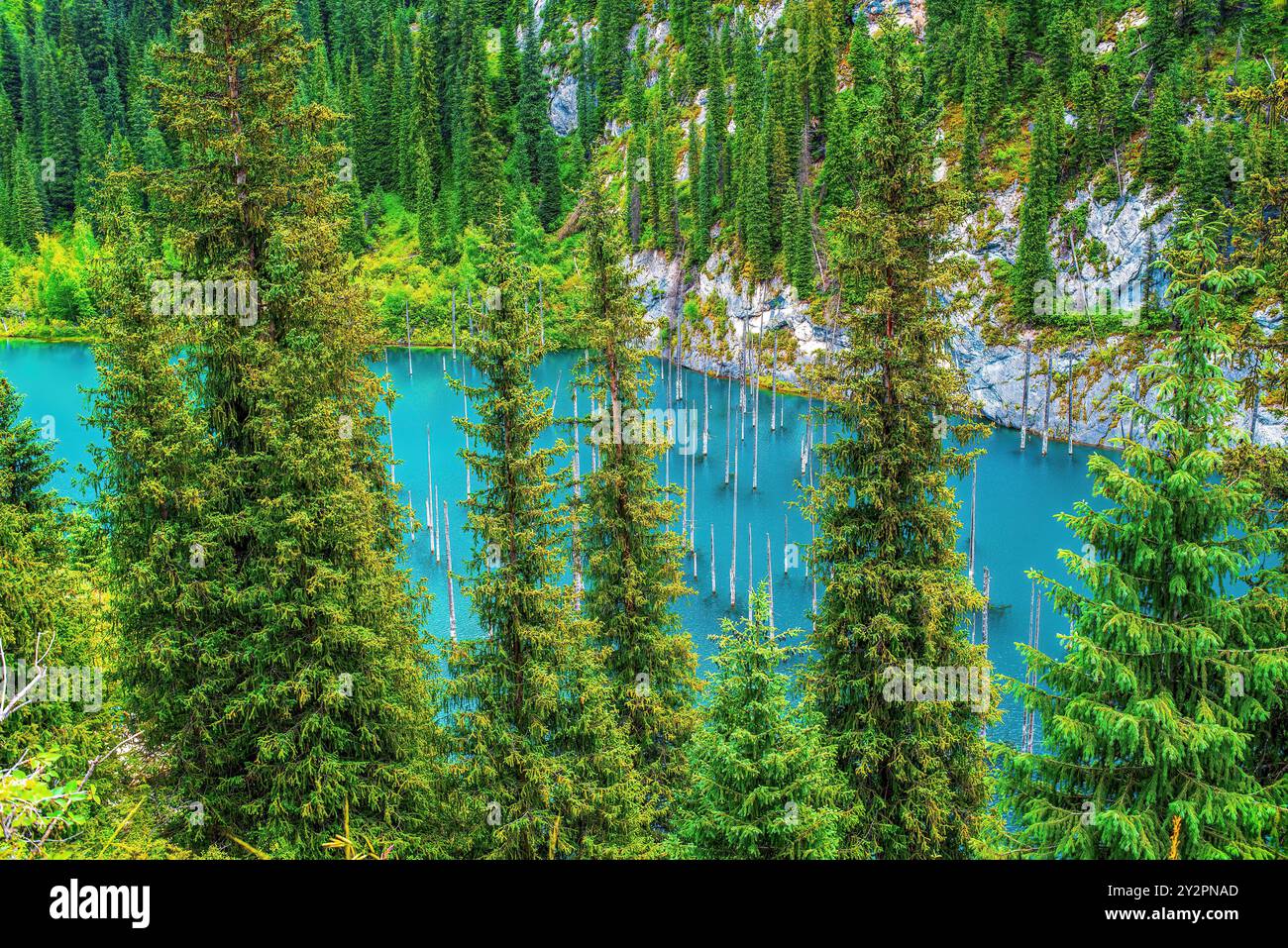 Lake Kaindy, the Kungey Alatau mountain range, northern Tien Shan. Lake Kaindy is located in the south of Kazakhstan in Kolsay Lakes National Park Stock Photo