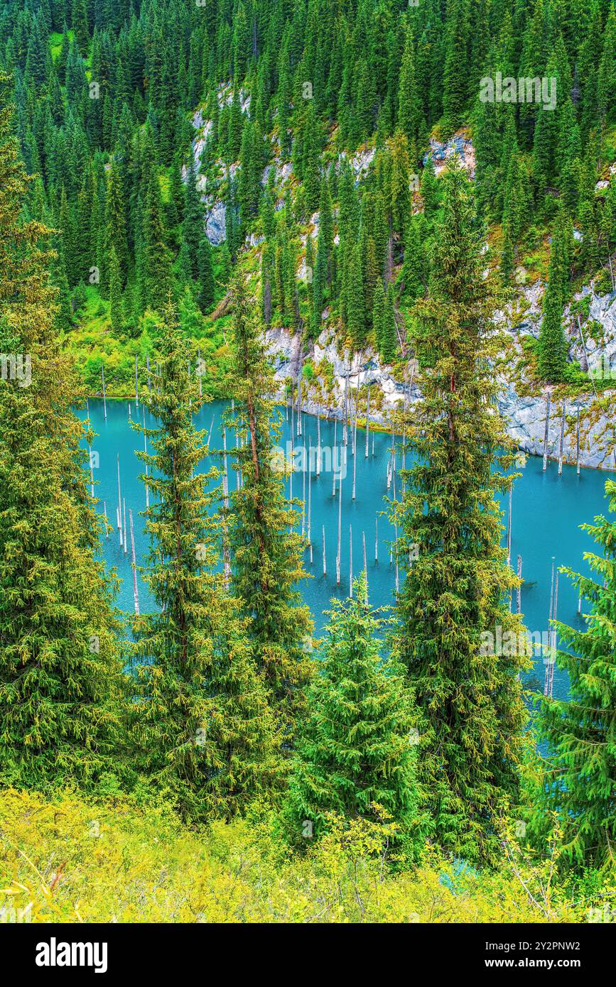 Lake Kaindy, the Kungey Alatau mountain range, northern Tien Shan. Lake Kaindy is located in the south of Kazakhstan in Kolsay Lakes National Park Stock Photo