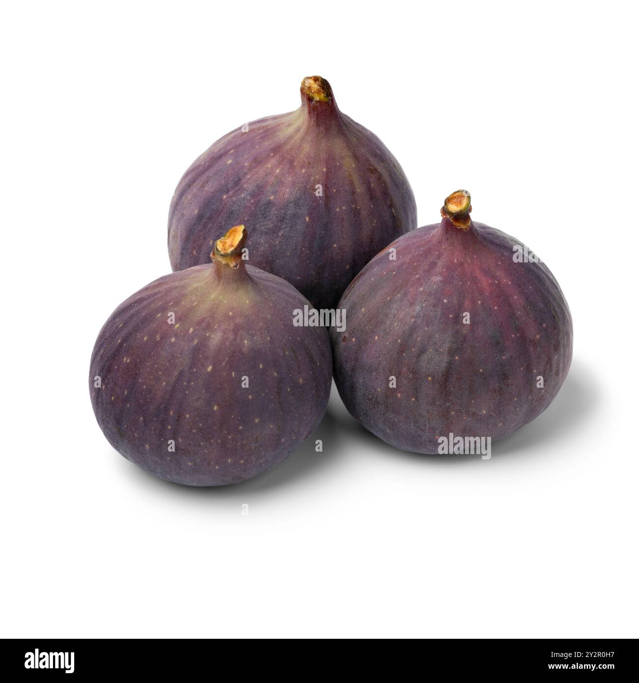 Three fresh ripe figs close up isolated on white background Stock Photo