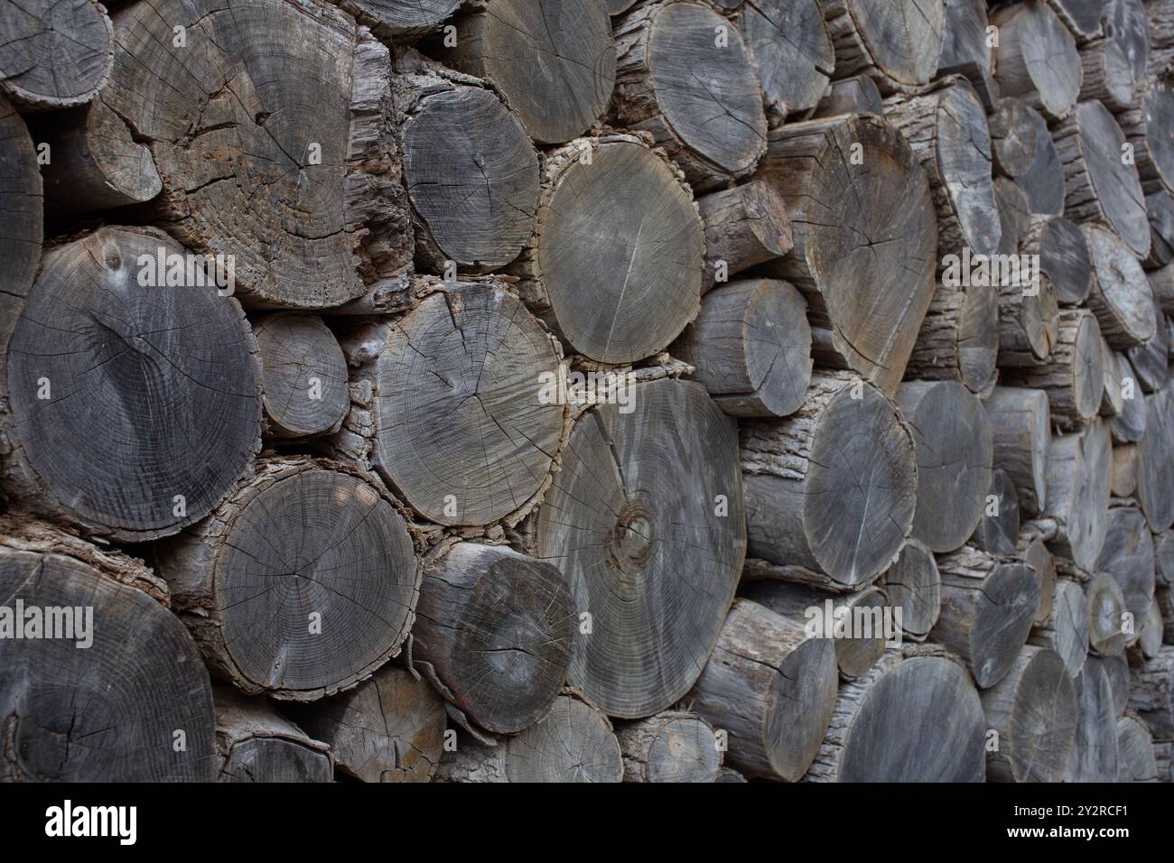 Pile oak biomass wood hi-res stock photography and images - Alamy
