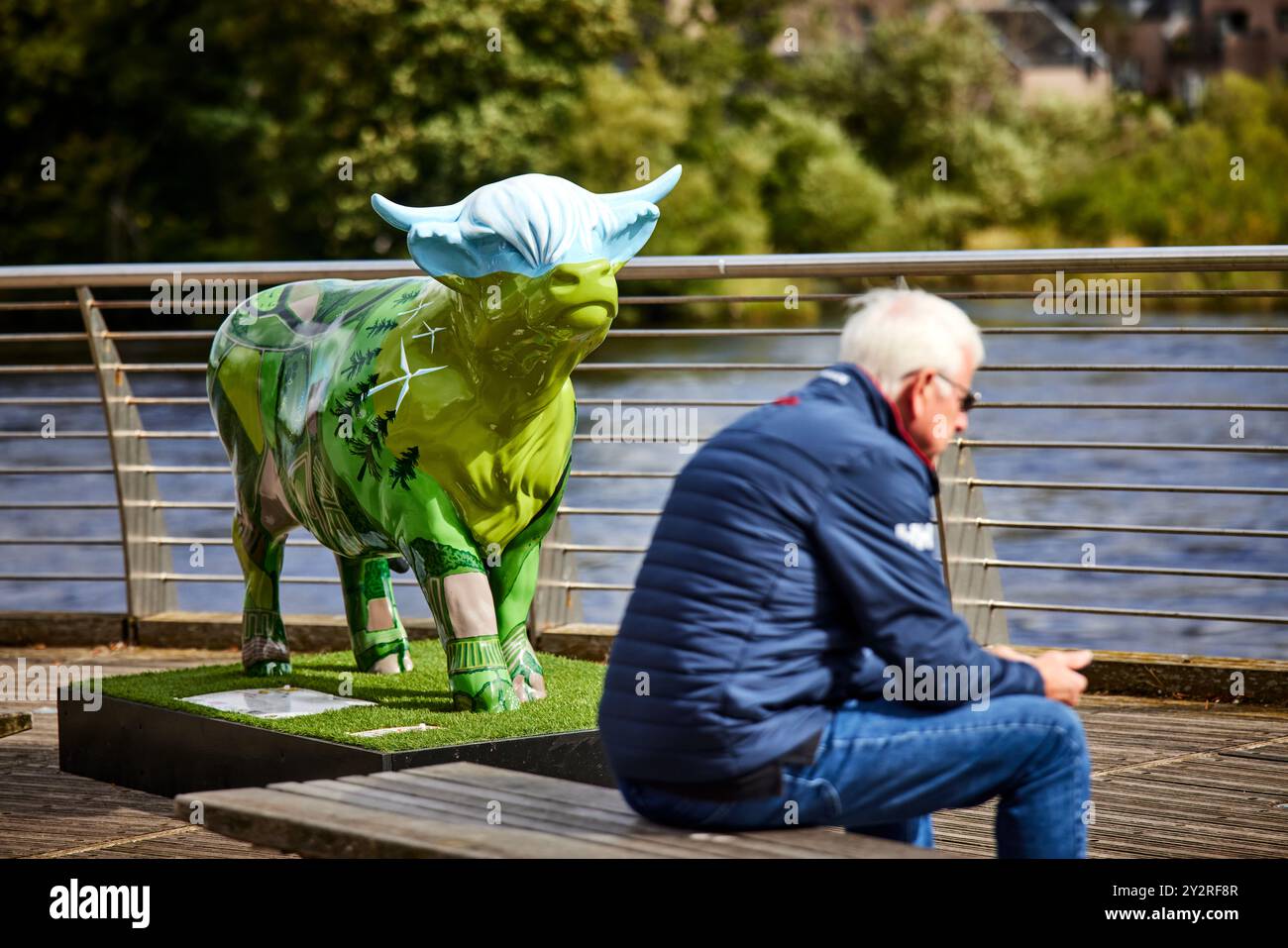 Perth, The Hairy Highland Coo Trail 2024 Stock Photo - Alamy