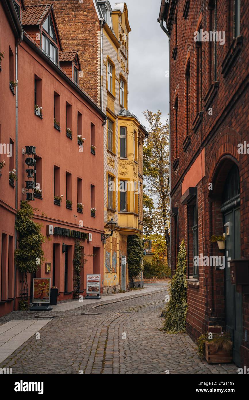 A charming cobblestone street in a European town with historic ...