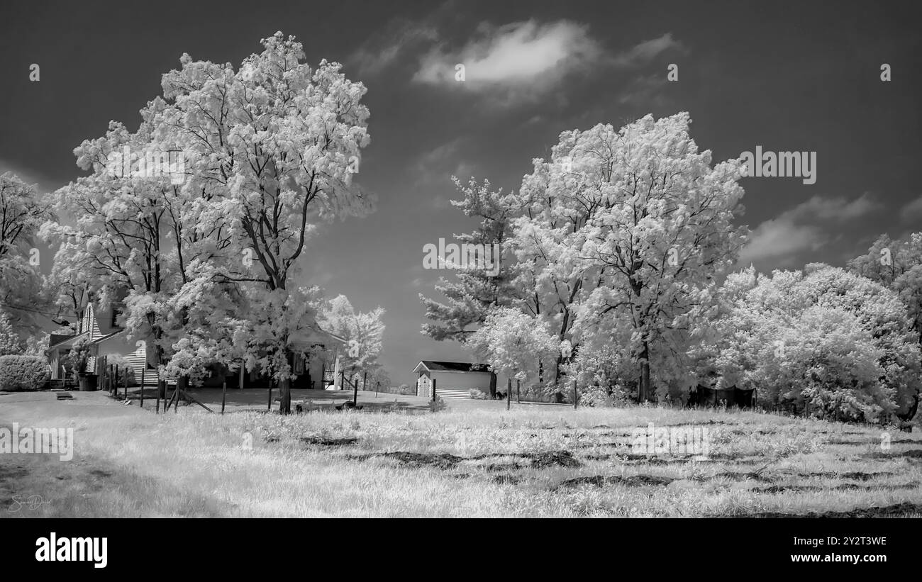 Infrared black and white photograph of a rural landscape with trees and a house under a clear sky. Stock Photo