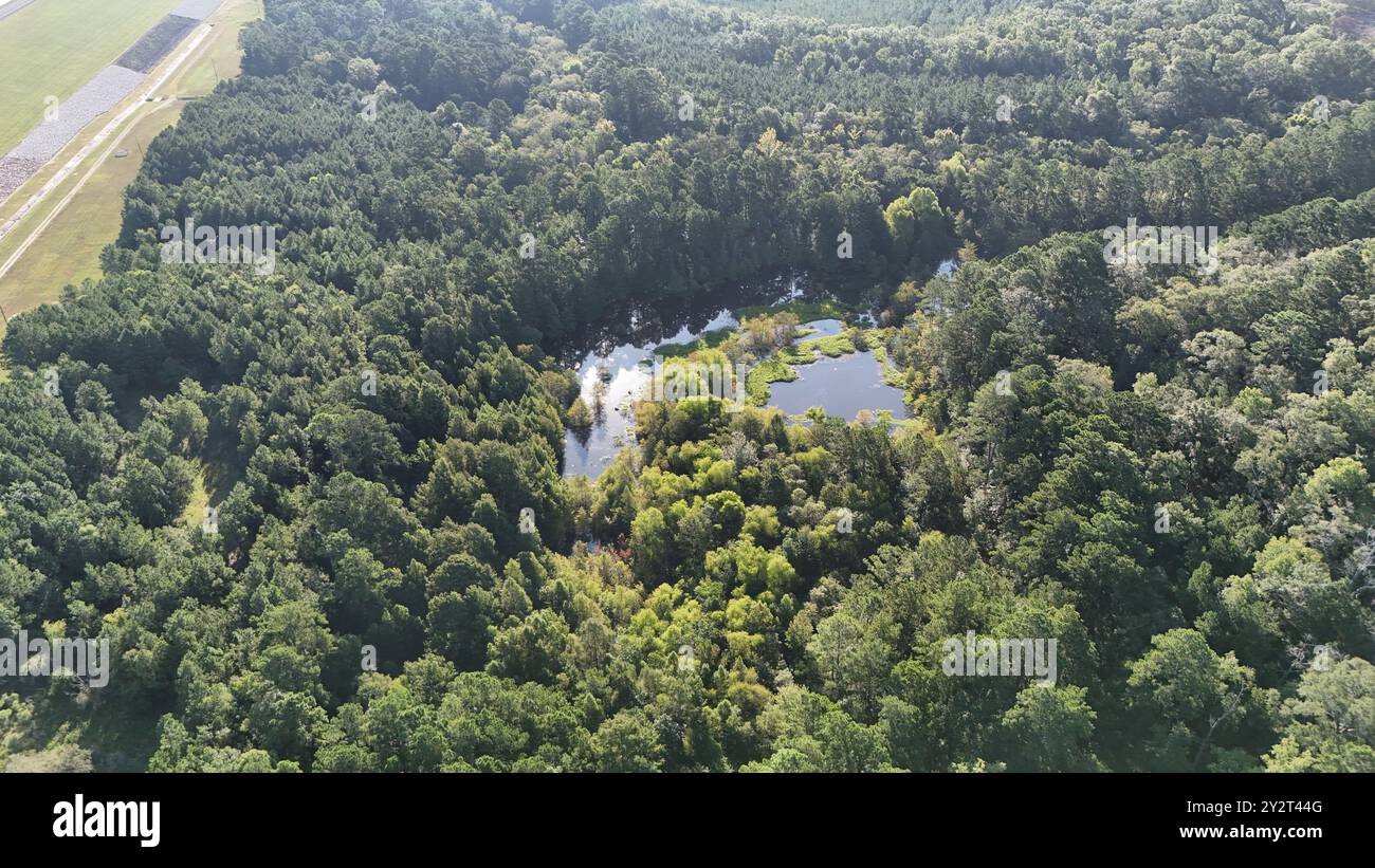 Woodlands with a small pond hi-res stock photography and images - Alamy