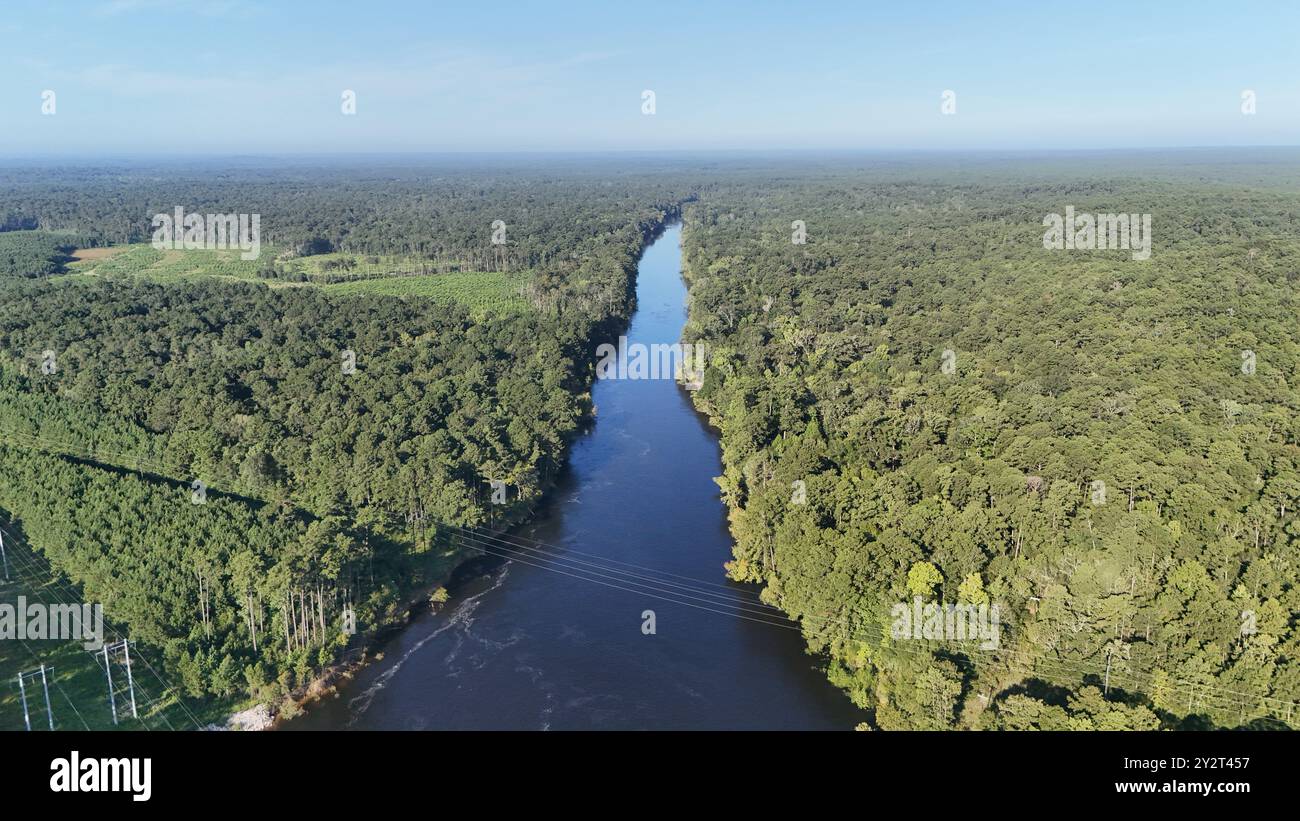 Aerial view of a river flowing through a dense forest on a clear day ...