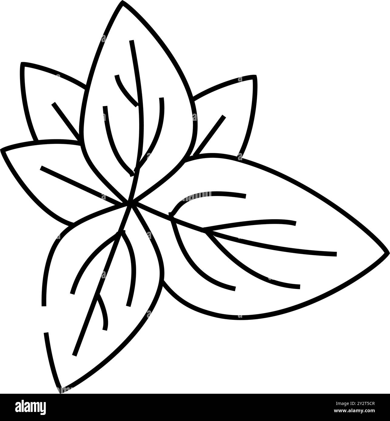 basil leaves line icon vector illustration Stock Vector Image & Art - Alamy