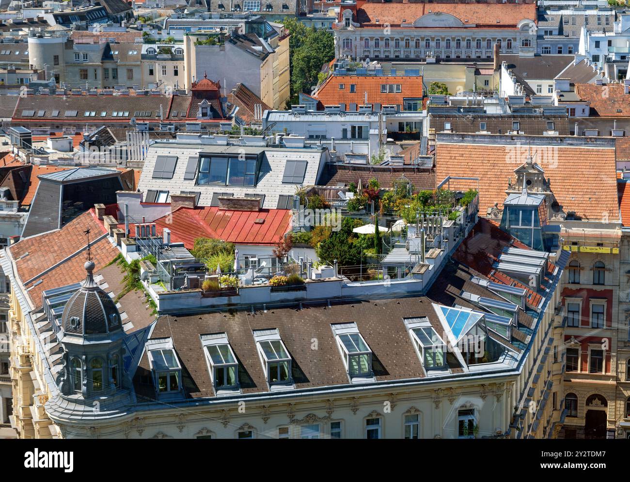 Picture of extensive loft conversion with a rooftop garden on a Gruenderzeit house ...