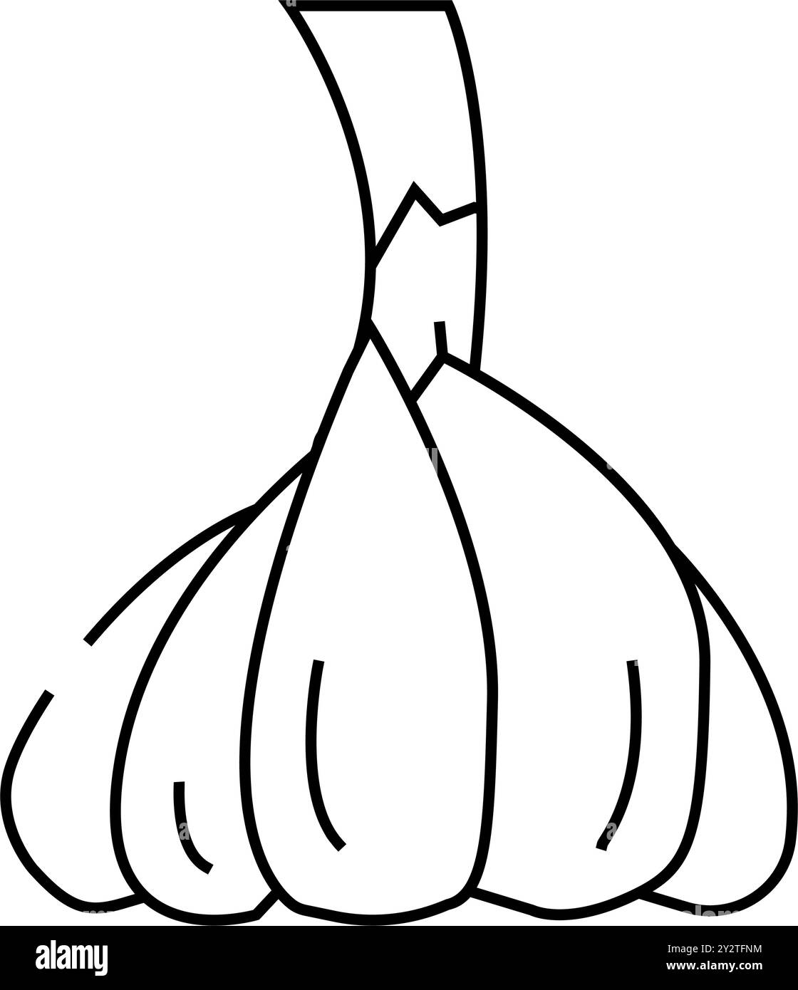 head of garlic line icon vector illustration Stock Vector Image & Art ...