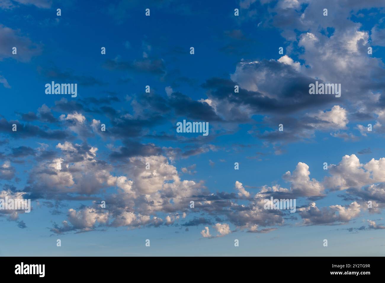 Beautiful white puffy clouds against blue sky during dramatic sunset. Stock Photo