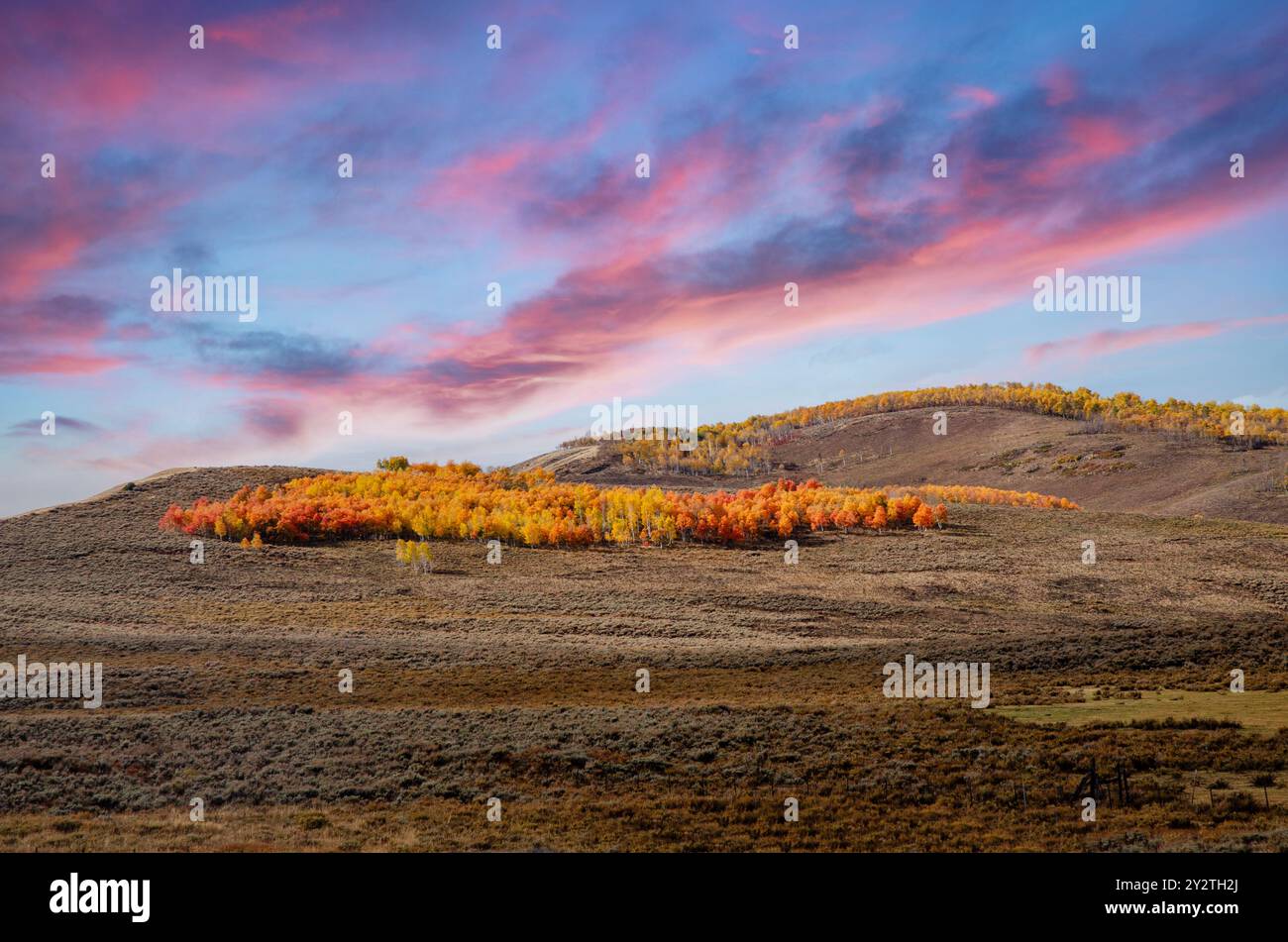 Spectacular Autumn Foliage including Golden Aspens in the Rocky ...