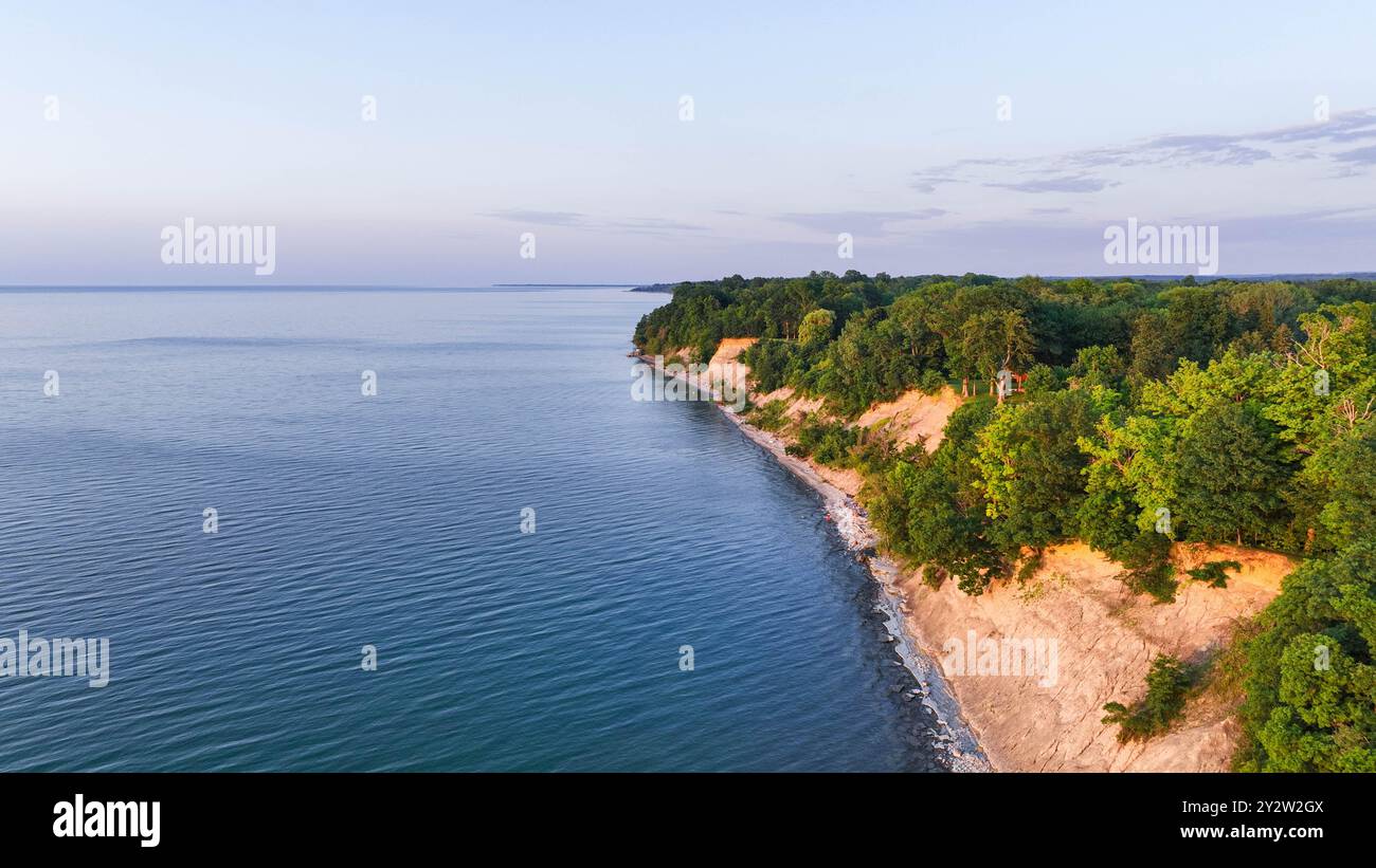 Aerial view of a coastal cliff with lush green trees and calm blue ...