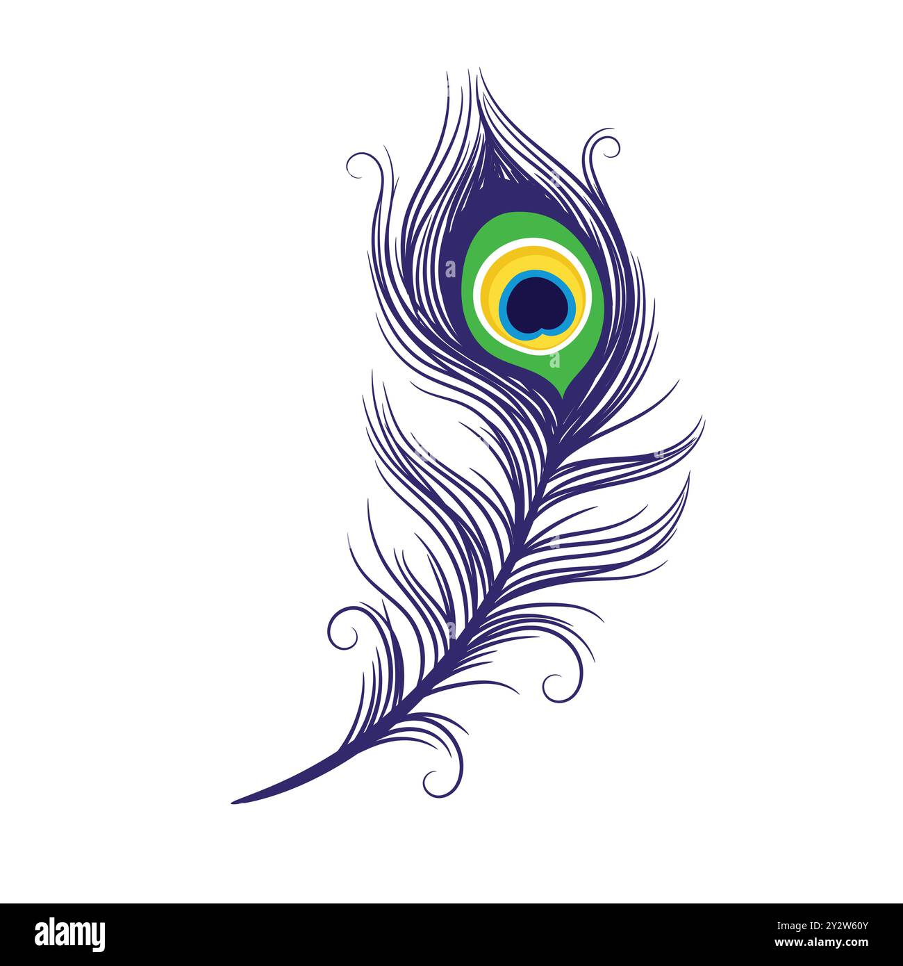 Peacock feathers on a white background. Vector Illustration Stock Vector