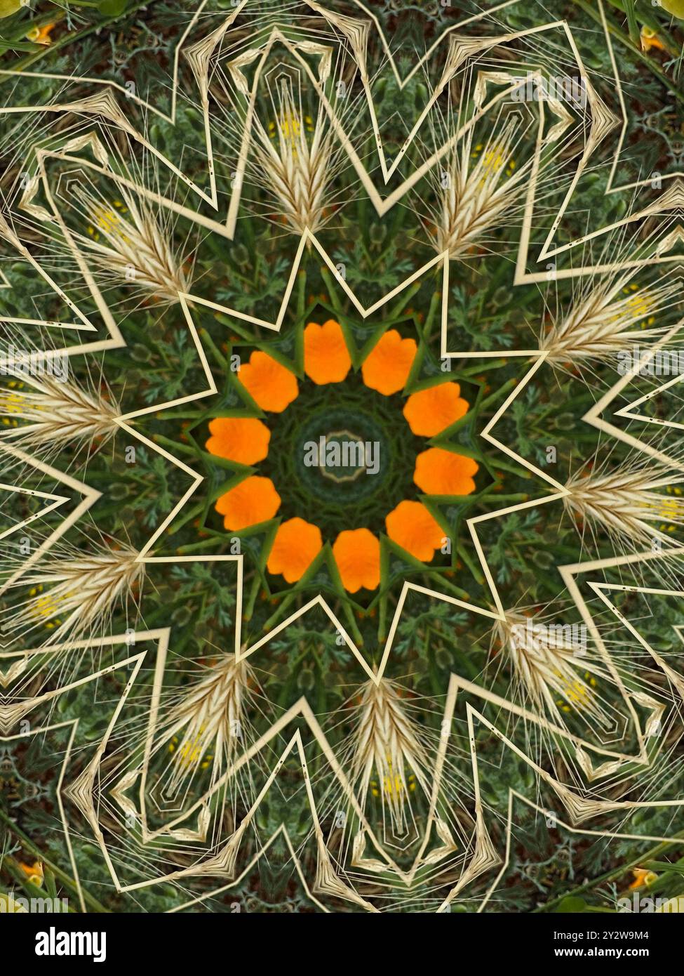 Circular pattern in nature hi-res stock photography and images - Alamy
