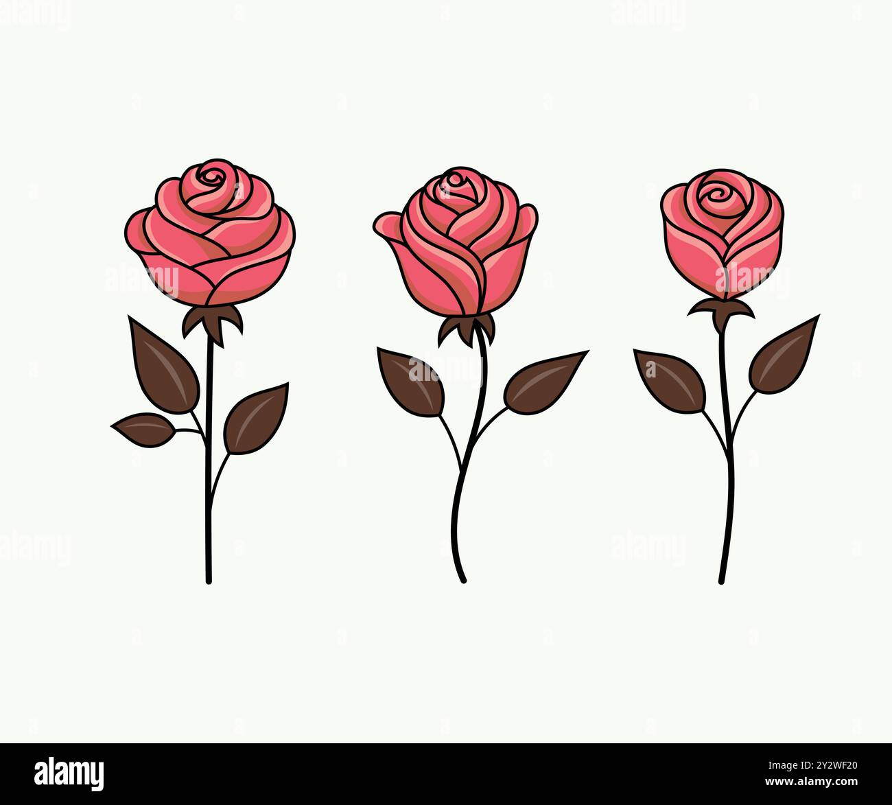 Beautiful rose bouquet flowers and green leaves growth on white background, Stock Vector