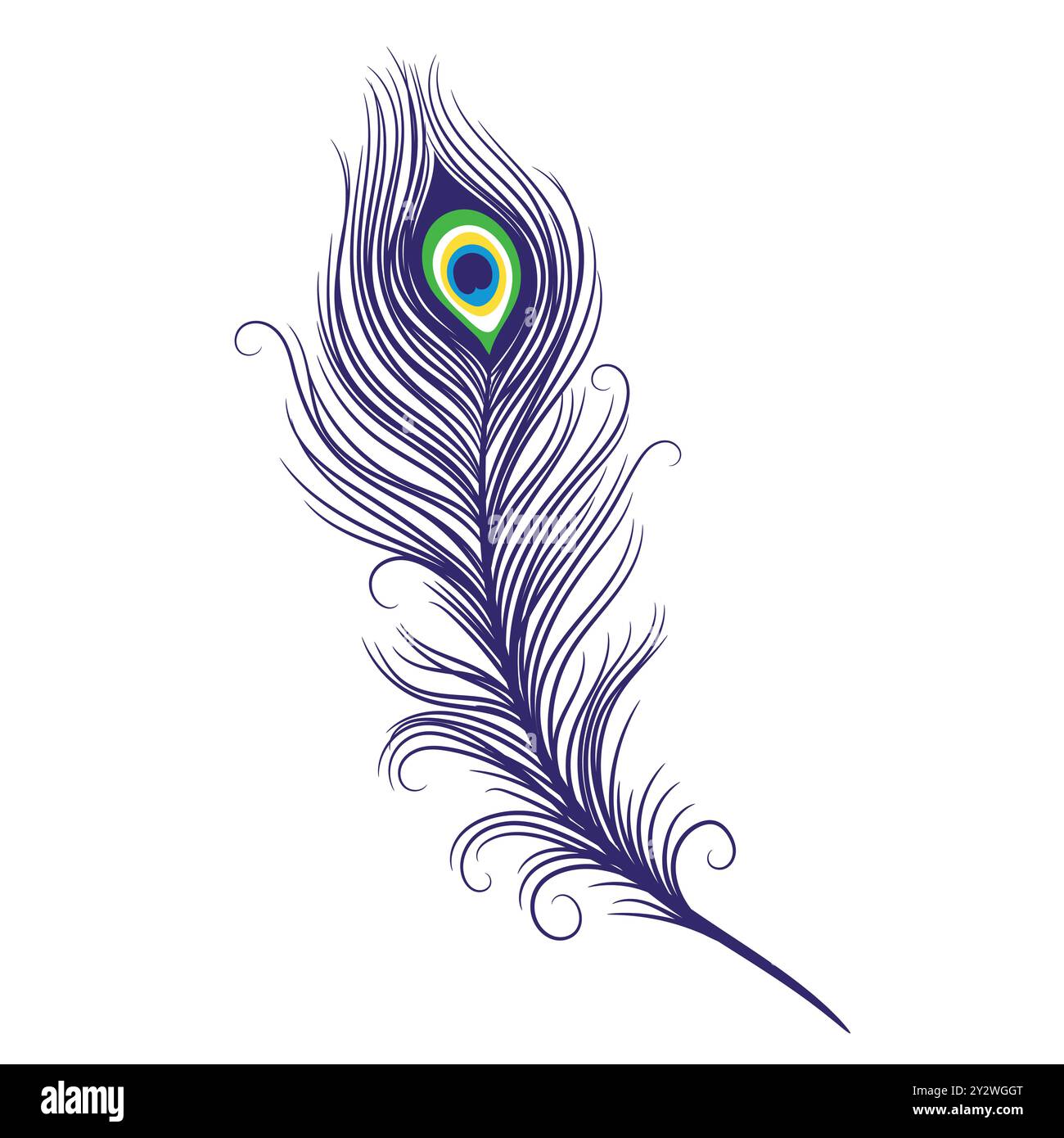 Peacock feathers on a white background. Vector Illustration Stock Vector