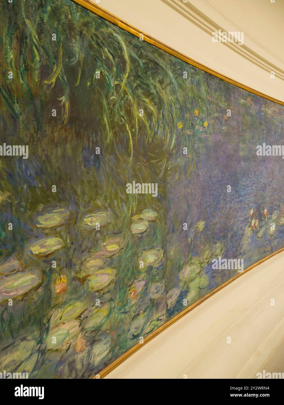 Matin, The Orangerie Museum, Morning, The Water Lilies by Claude Monet, Paris, France, Europe, EU. Stock Photo