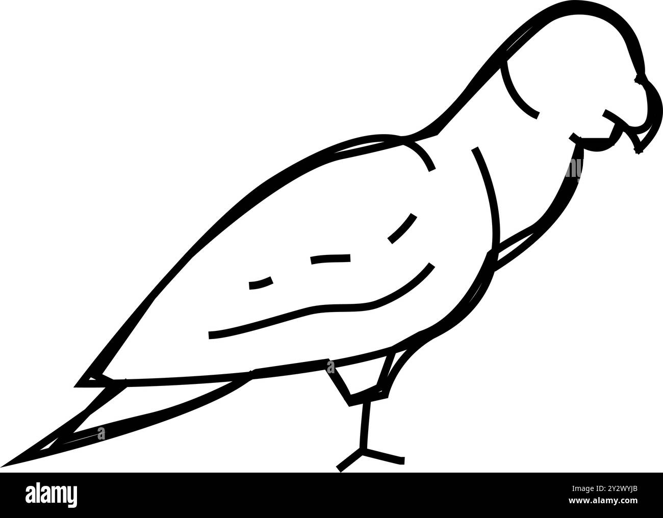 parrot bird line icon vector illustration Stock Vector Image & Art - Alamy