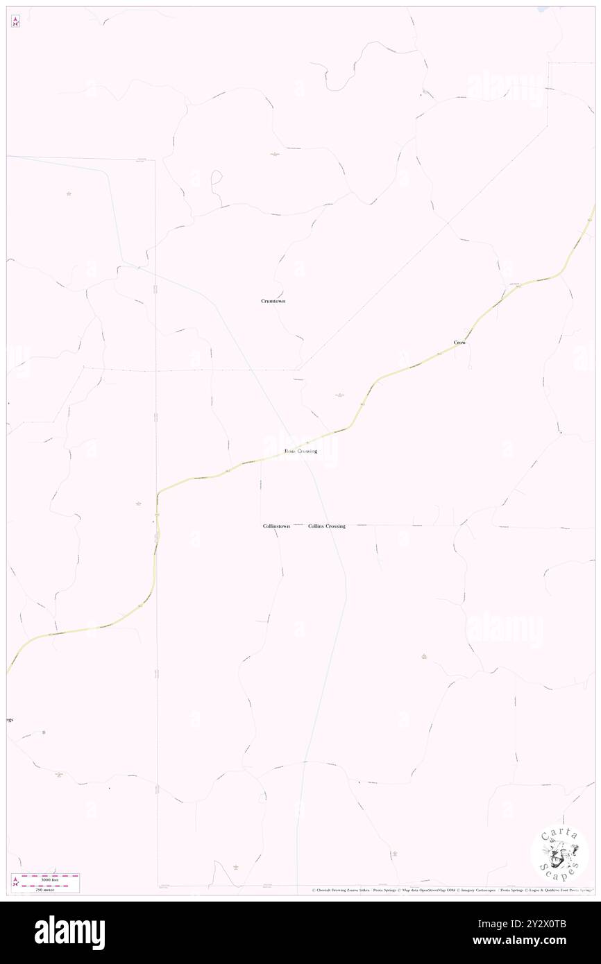 Ross Crossing, Alcorn County, US, United States, Mississippi, N 34 49' 5'', S 88 43' 43'', map, Cartascapes Map published in 2024. Explore Cartascapes, a map revealing Earth's diverse landscapes, cultures, and ecosystems. Journey through time and space, discovering the interconnectedness of our planet's past, present, and future. Stock Photo