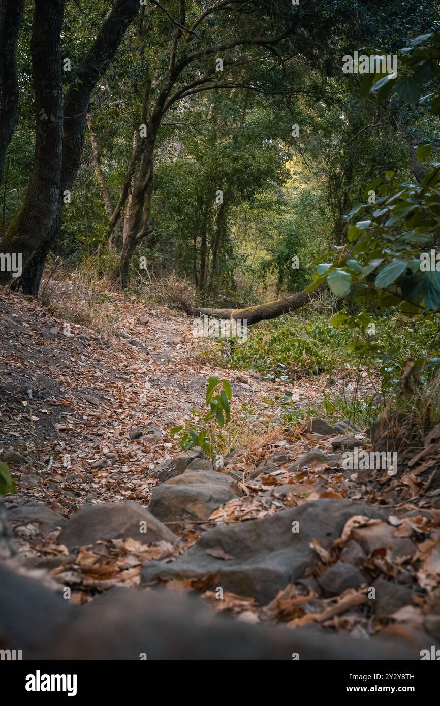 Rmilat hi-res stock photography and images - Alamy