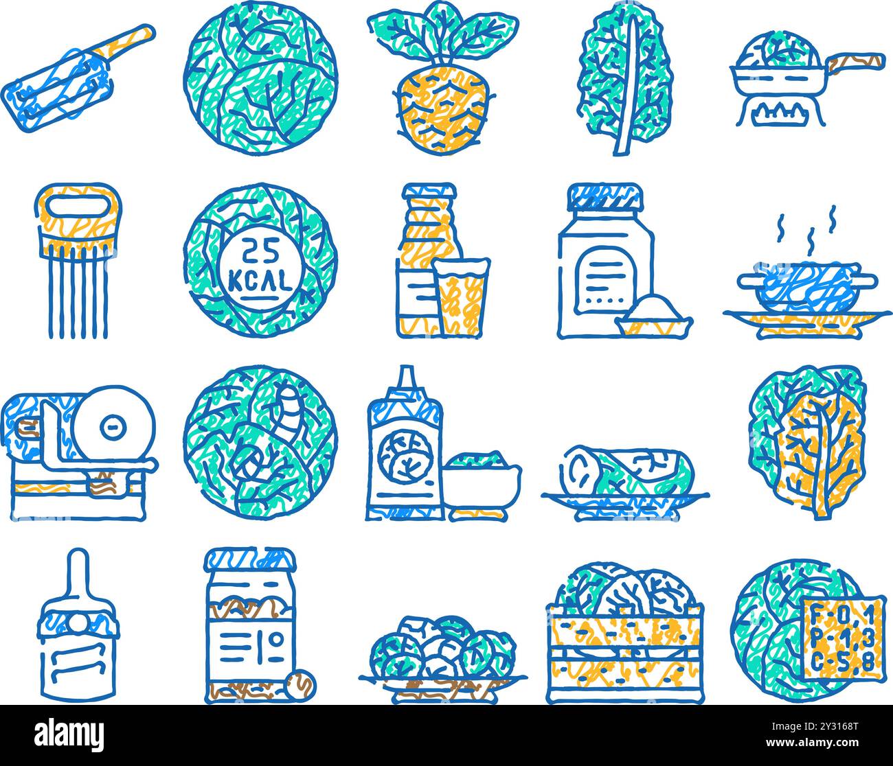 cabbage white green vegetable icon hand drawn Stock Vector Image & Art ...