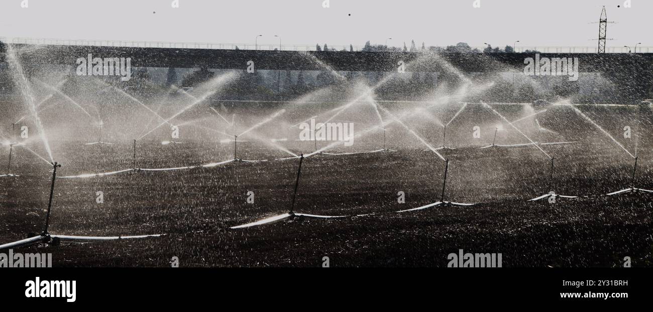 Irrigation Stock Photo