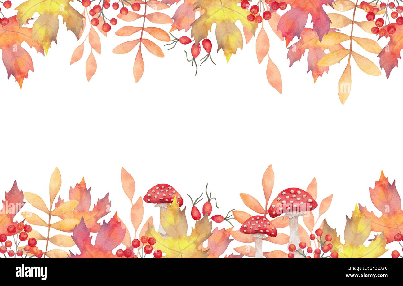 Autumn banner with rowan berries, rose hips and mushrooms with maple ...