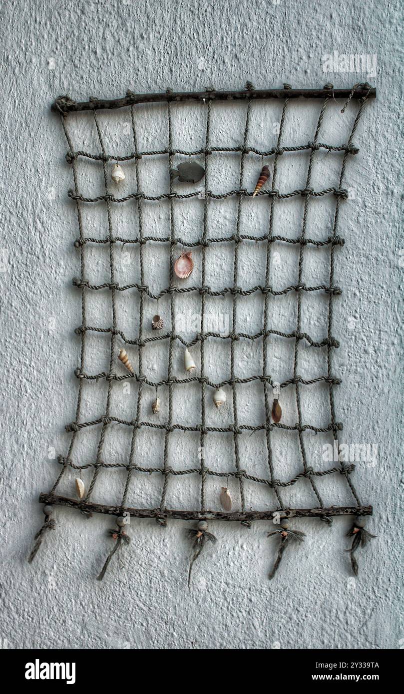 Net of shells hi-res stock photography and images - Alamy