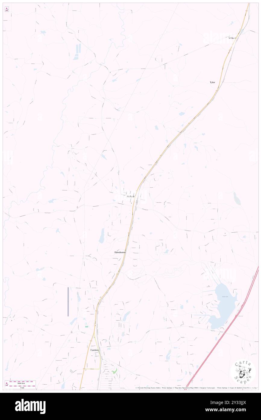 McNeill, Pearl River County, US, United States, Mississippi, N 30 40' 7'', S 89 38' 18'', map, Cartascapes Map published in 2024. Explore Cartascapes, a map revealing Earth's diverse landscapes, cultures, and ecosystems. Journey through time and space, discovering the interconnectedness of our planet's past, present, and future. Stock Photo