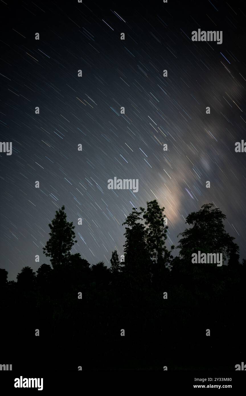 Long exposure shot of star trails in the night sky above a forest ...