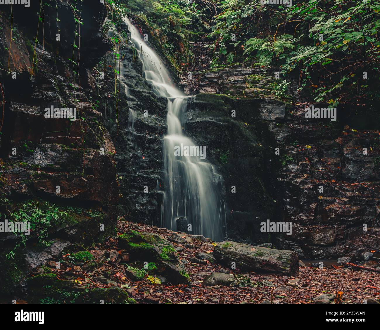 A serene waterfall cascading down a rocky cliff surrounded by lush ...