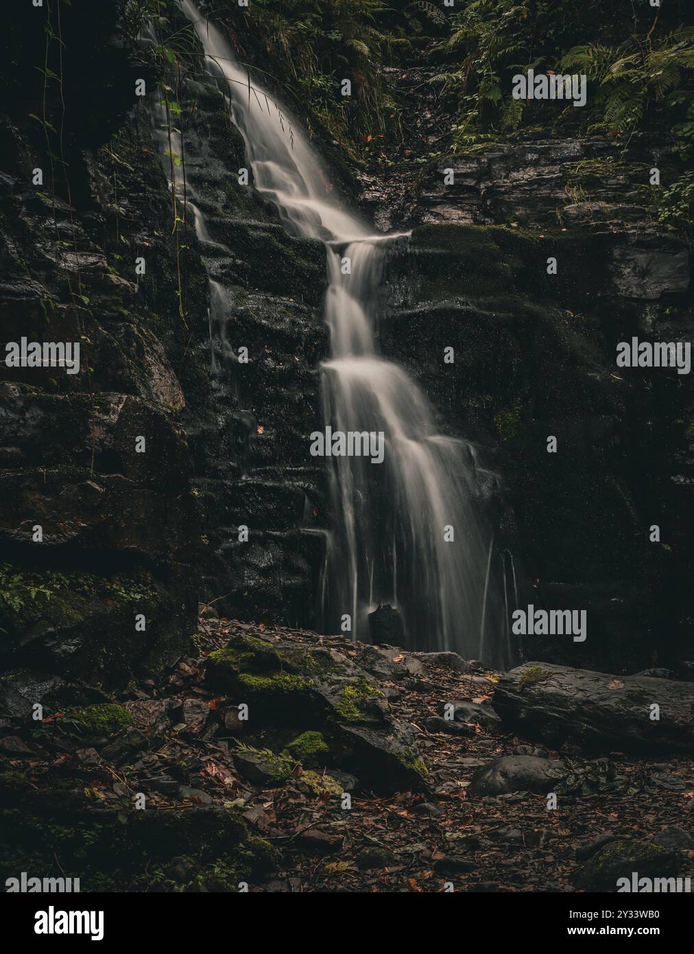 A serene waterfall cascading down a rocky cliff surrounded by lush ...