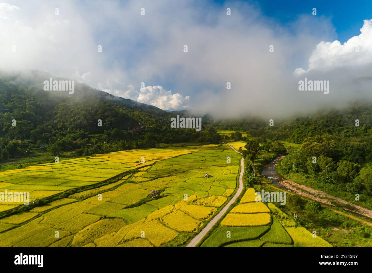 Aerial drone shot through jungle hi-res stock photography and images ...