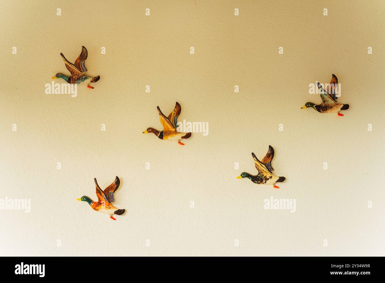 A group of four ducks is flying in a straight row on a wall Stock Photo