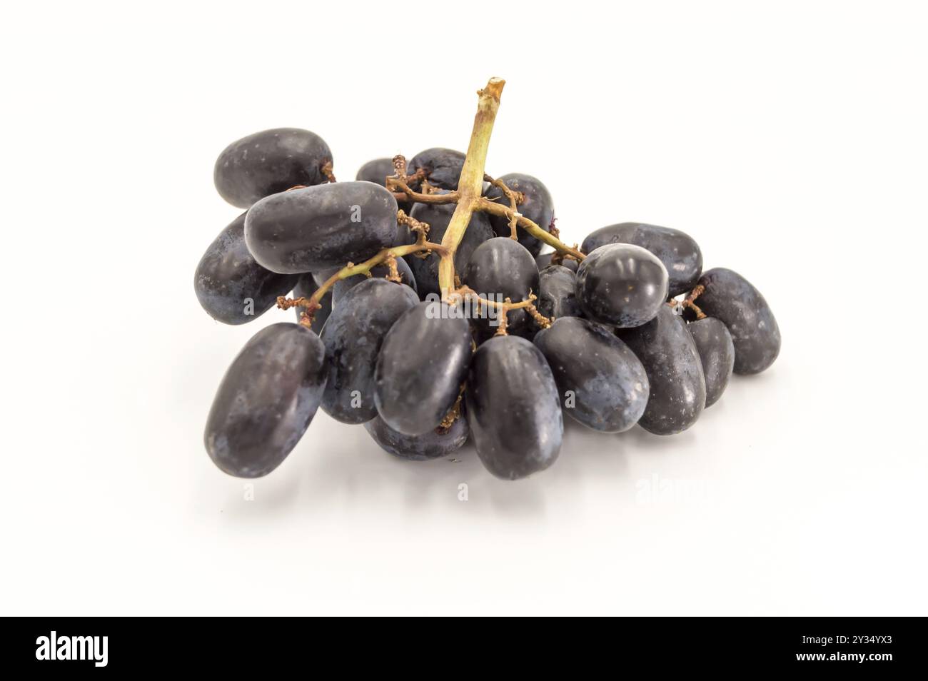 Bunch of blue wet grapes isolated on white background Stock Photo