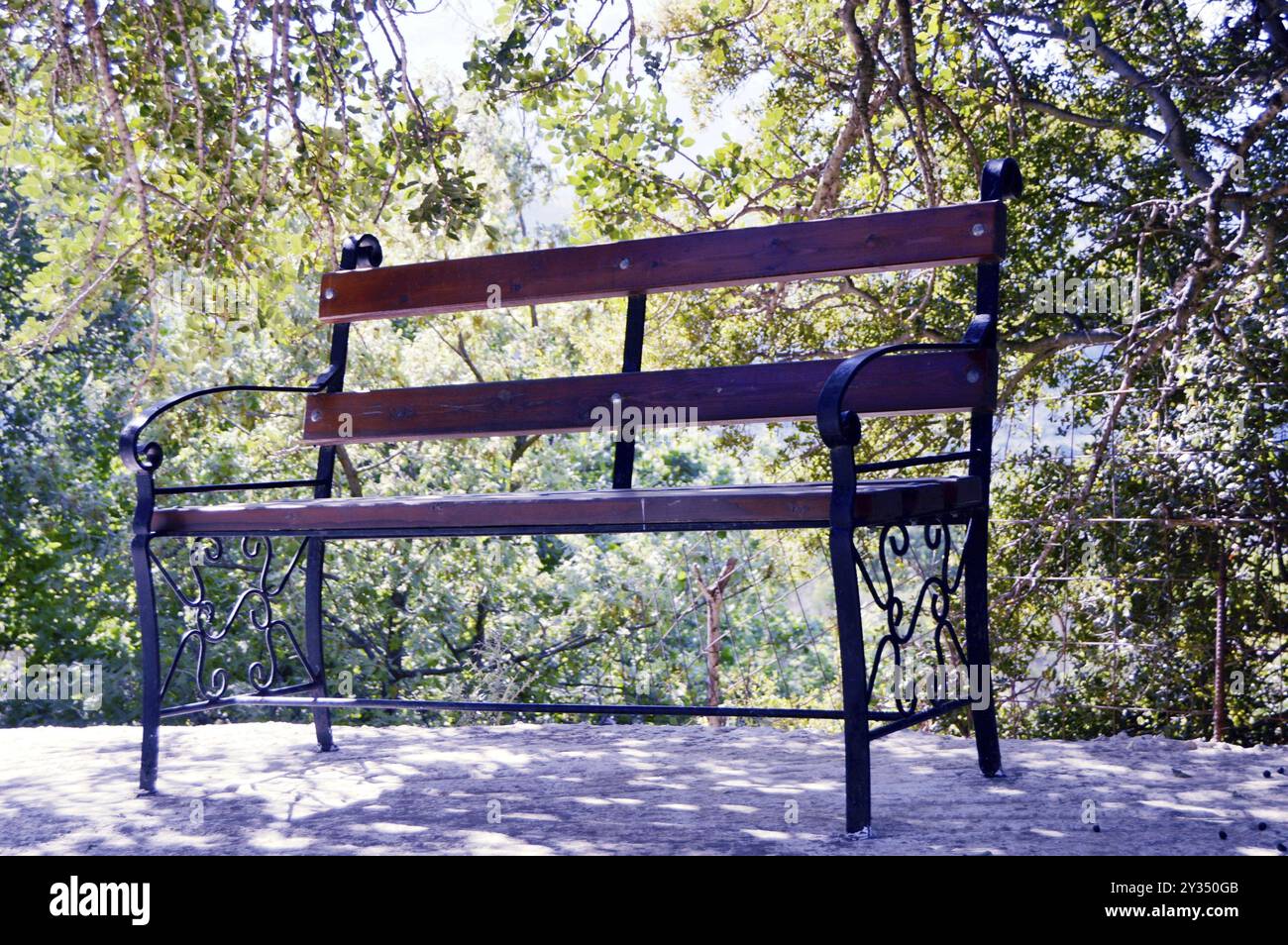 A bench in a garden in the shade of a tree Stock Photo