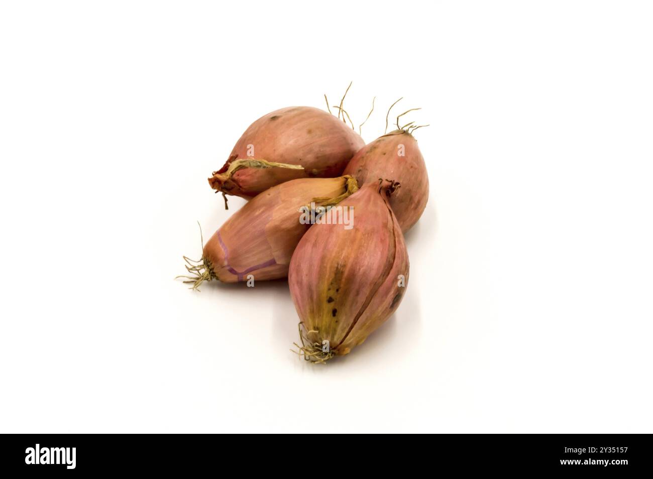 Vegetables: several shallots isolated on white background Stock Photo