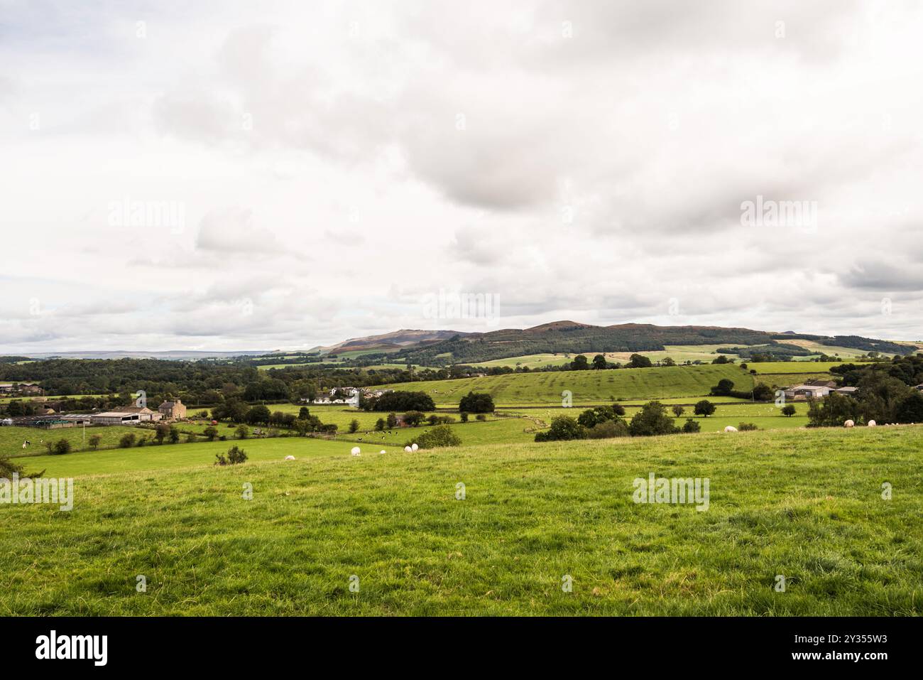 Sharp Haw Rough haw near gargrave hi-res stock photography and images - Alamy