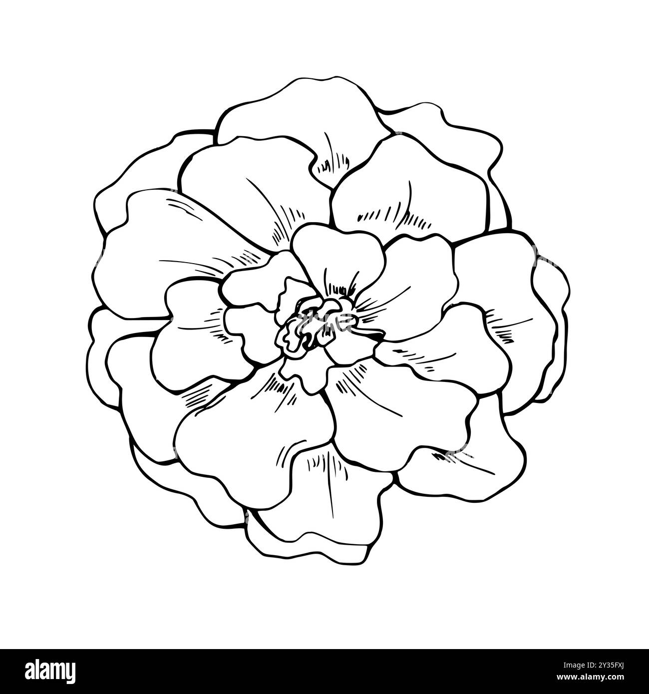 October Birth Flower Tattoo in Black and White