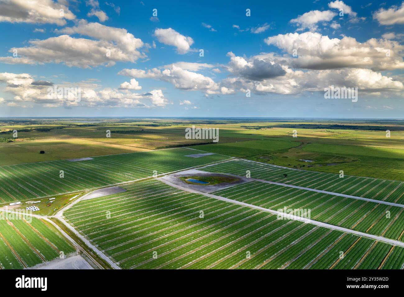 Usa rye field soil hi-res stock photography and images - Alamy