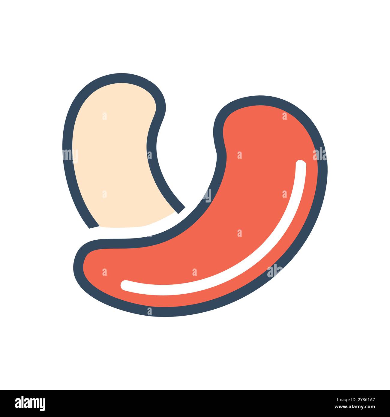 Cashew nut icon. Illustration of a cashew nut, healthy, delicious, snack. Perfect for food, nutrition, and healthy lifestyle concepts. Stock Vector